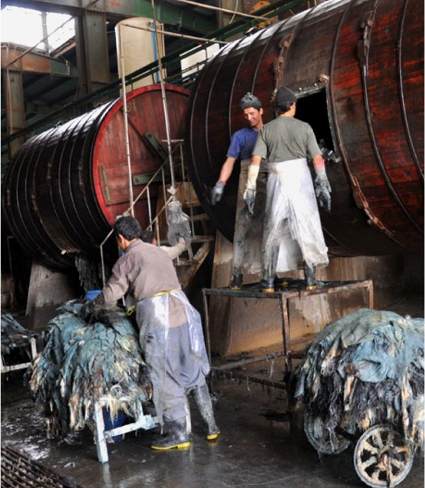 Leather Tannery Unit