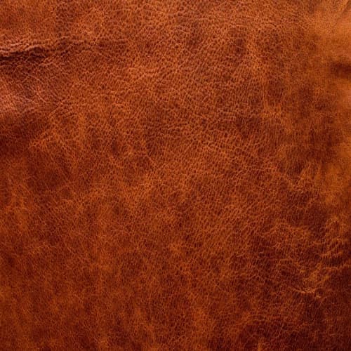 Aniline Leather
