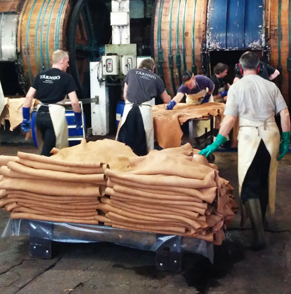 From Tanning Raw Hide