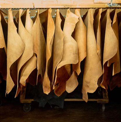 To Developing Finished Leather