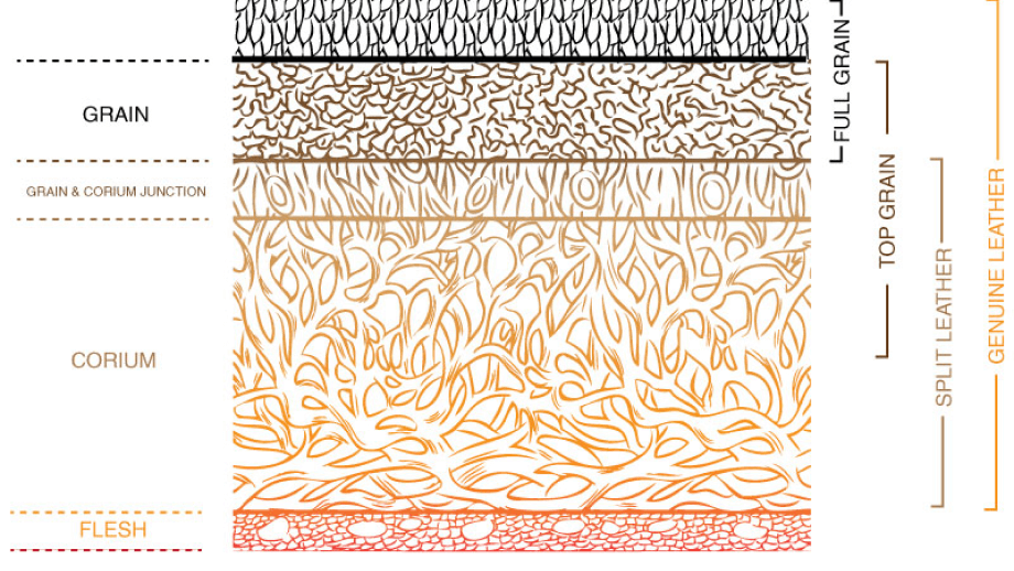 Diagram illustrating different layers and types of leather grain.